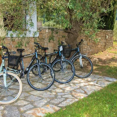 Avista * فوروفورو