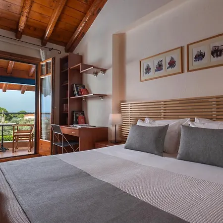 Avista * فوروفورو